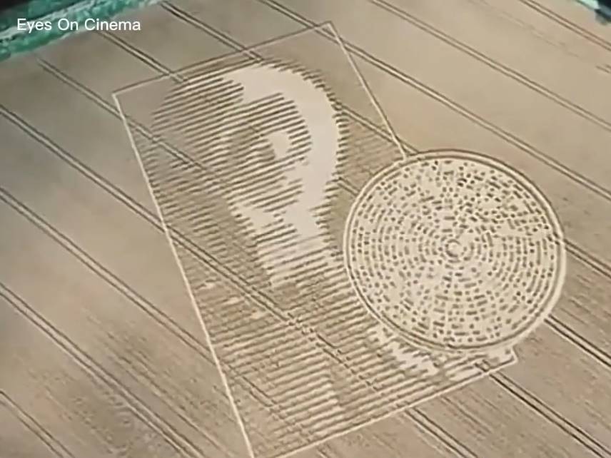 gh_20240719_gray_cropformation_rz.jpg