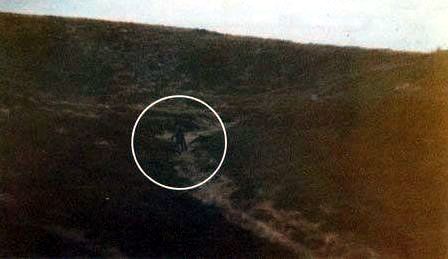 gh_20240725_moor_03.jpg