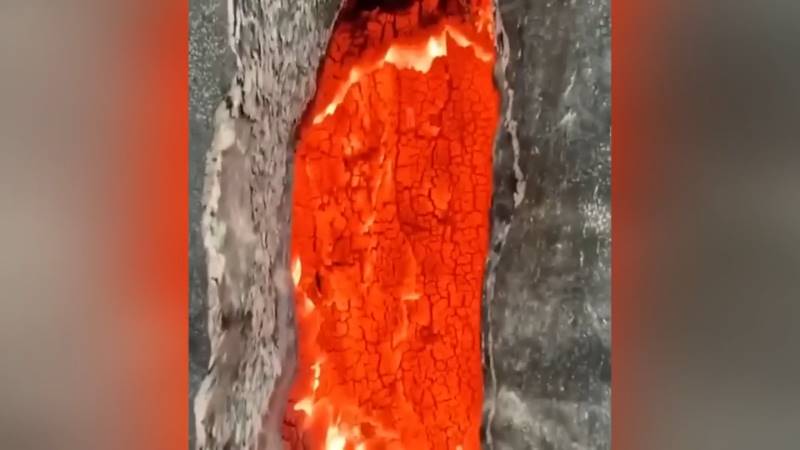 gh_20241020_fire_inside_tree2.jpg