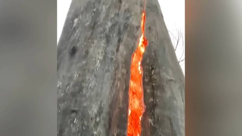 gh_20241020_fire_inside_tree3.jpg