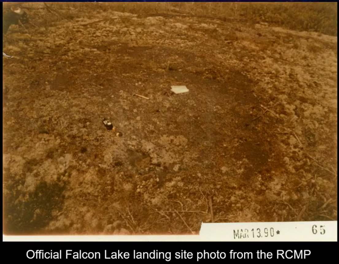 gh_20241126_falcon2.jpg
