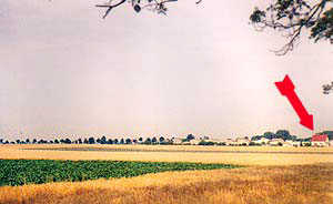 gh_20250109_CF_pic2.jpg