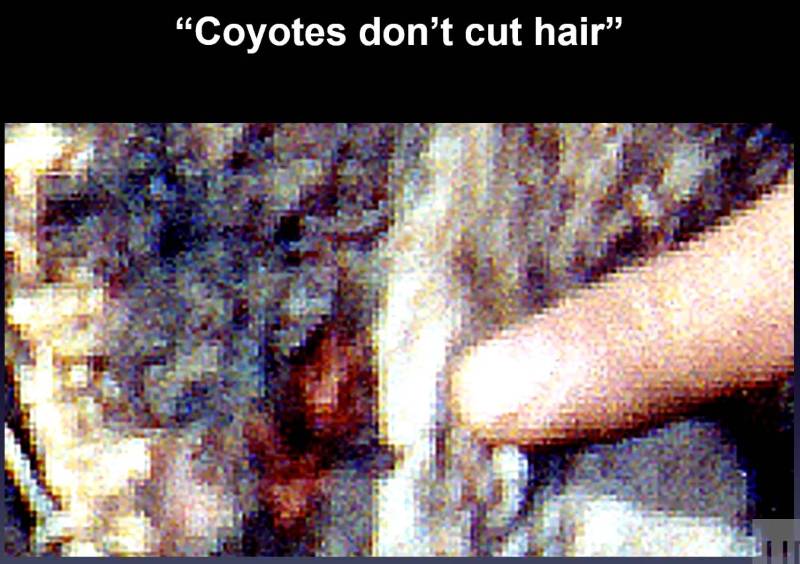 gh_20250223_co4a.jpg