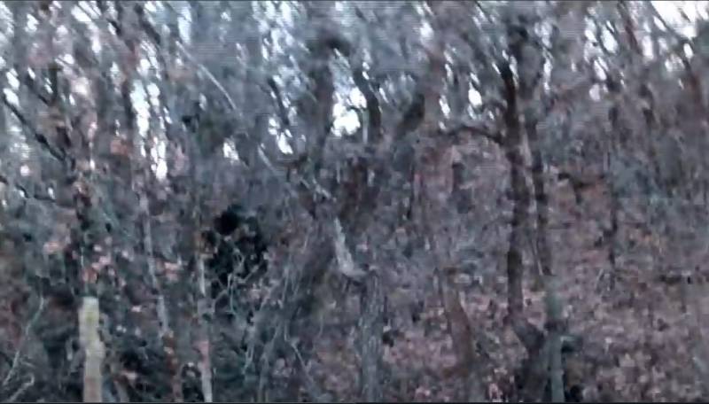 gh_20250517_bg.jpg