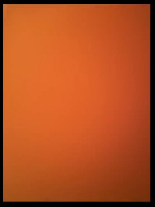 gh_20250526_ws_orange.jpg