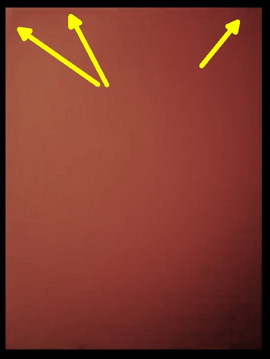 gh_20250526_ws_orange_adj.jpg